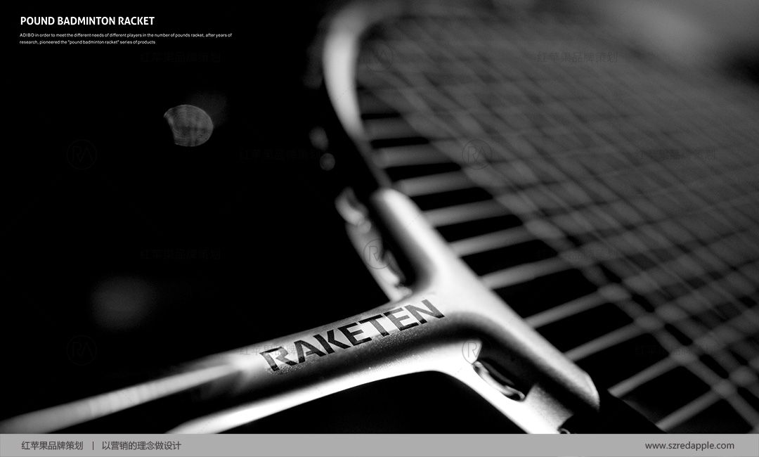 高端羽毛球拍品牌VI设计案例欣赏
