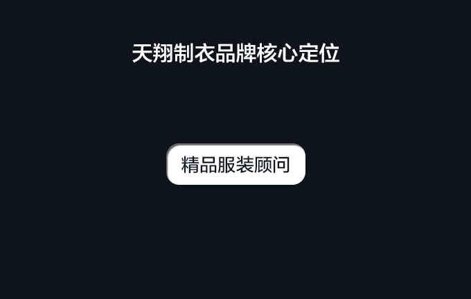 天翔制衣厂品牌VI设计