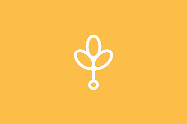 深圳VI设计分享之波兰Branch Creative创意公司LOGO