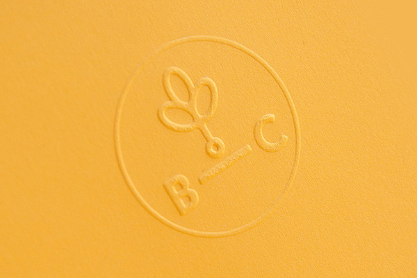 深圳VI设计分享之波兰Branch Creative创意公司LOGO