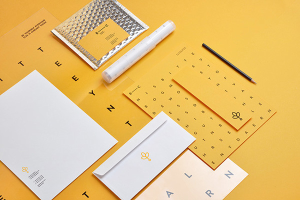 深圳VI设计分享之波兰Branch Creative创意公司LOGO