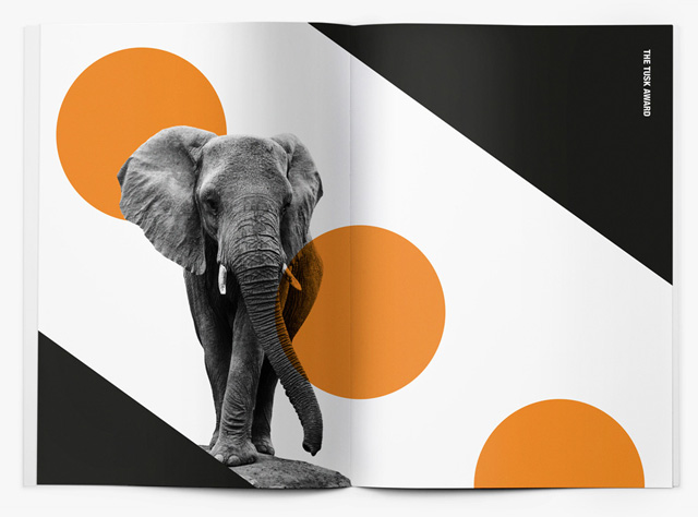 图斯克动物保护奖（Tusk Conservation）新品牌形象----深圳品牌设计