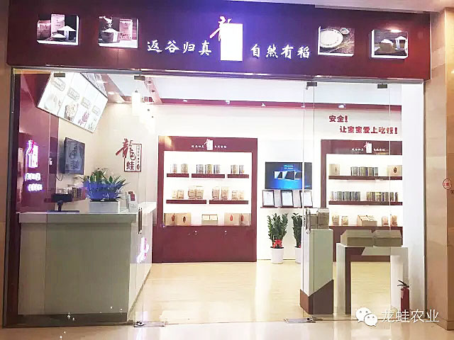 龙蛙品牌体验店成功落地深圳