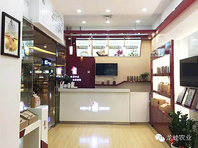 龙蛙品牌体验店成功落地深圳